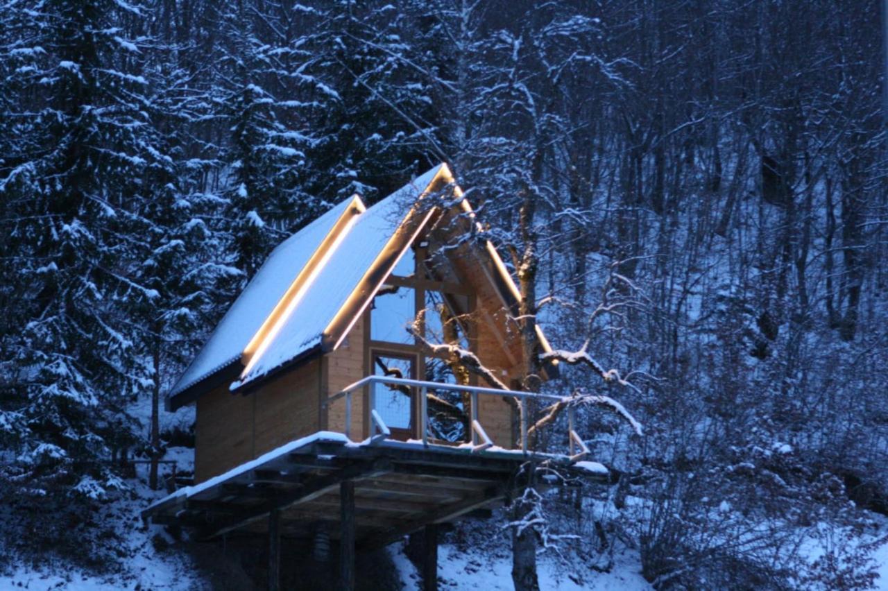 Tree House - Tara Place Мойковац Екстер'єр фото