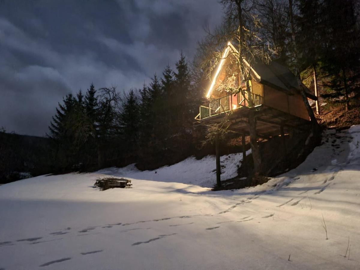Tree House - Tara Place Мойковац Екстер'єр фото