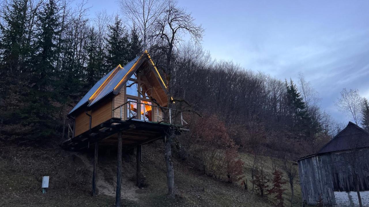 Tree House - Tara Place Мойковац Екстер'єр фото