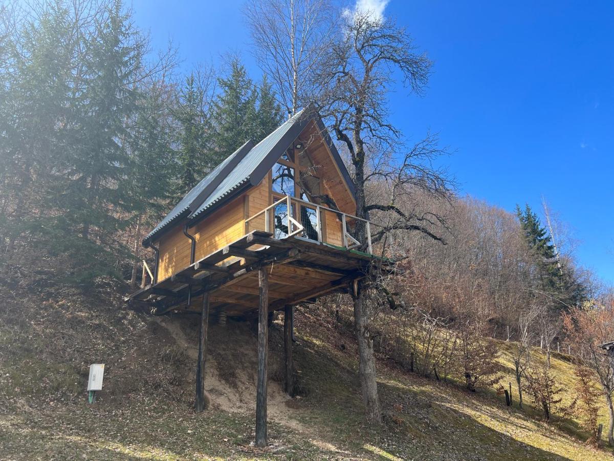 Tree House - Tara Place Мойковац Екстер'єр фото