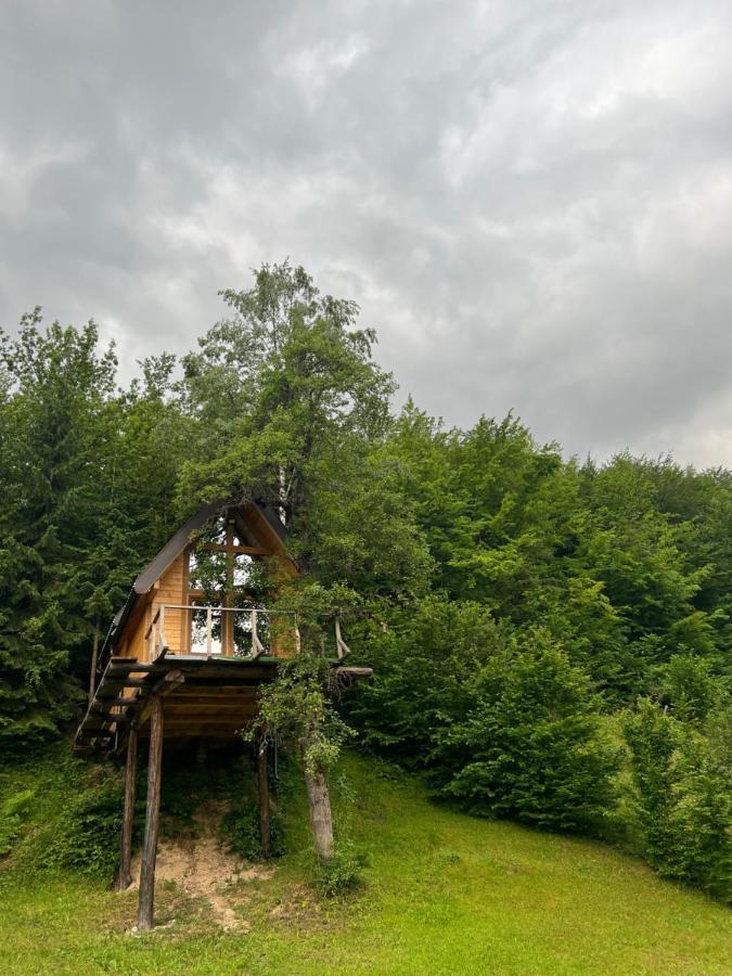 Tree House - Tara Place Мойковац Екстер'єр фото