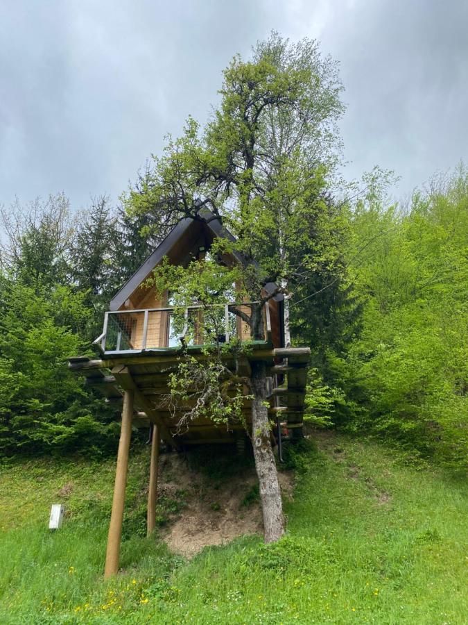 Tree House - Tara Place Мойковац Екстер'єр фото